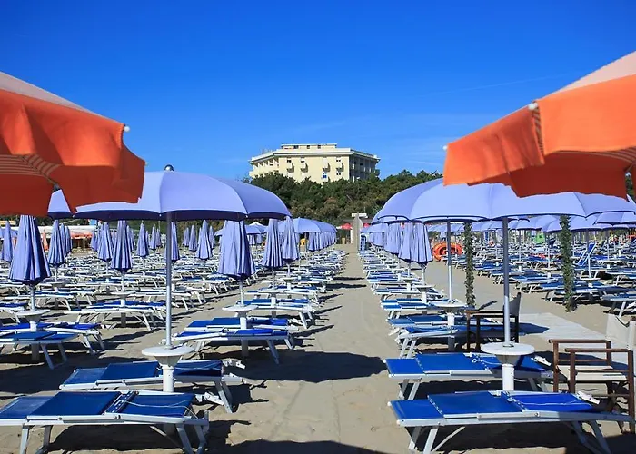 Color King Marte Village 3*